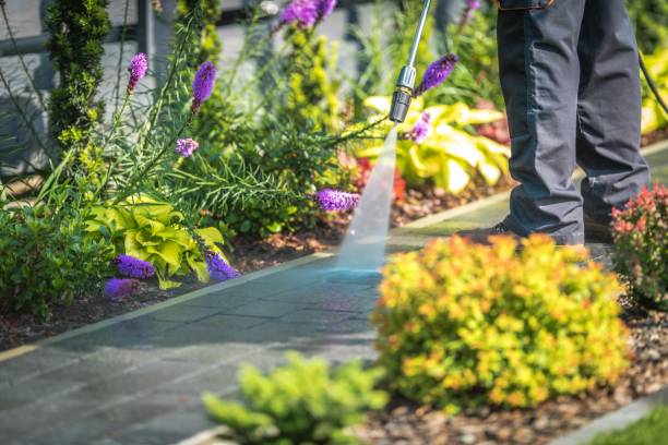 Trusted Preakness, NJ  Pressure Washing Services Experts